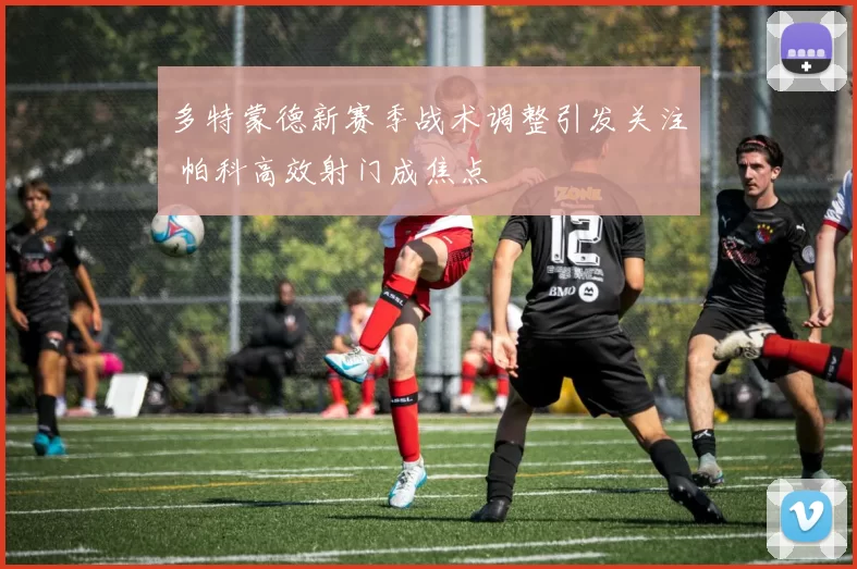 多特蒙德新赛季战术调整引发关注 帕科高效射门成焦点